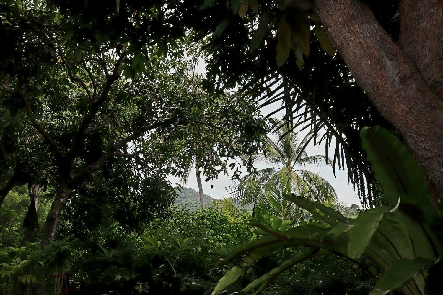 Kebun Rohani Cottages Senggigi Buitenkant foto