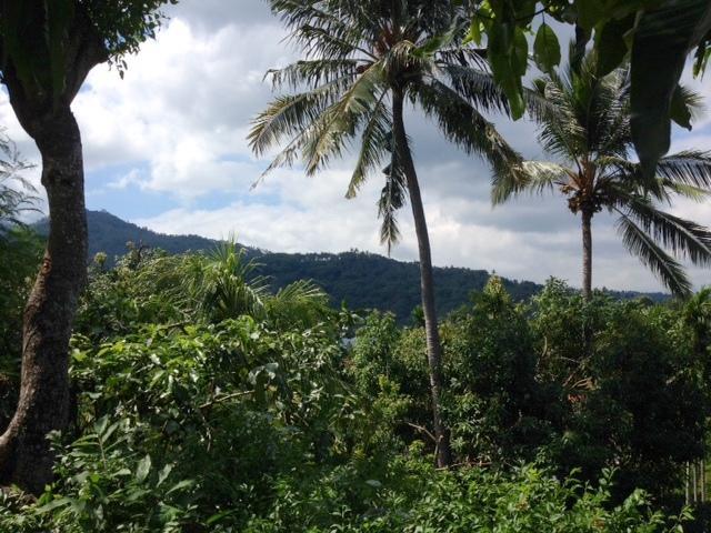 Kebun Rohani Cottages Senggigi Buitenkant foto
